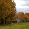 CIMG0098